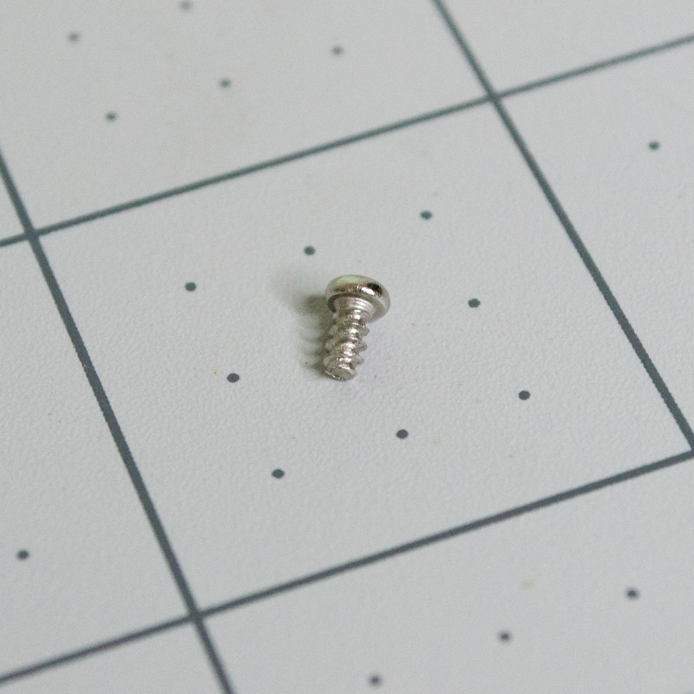 Small silver servo horn screw for VintageScale servo.
